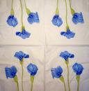035 Calla - 3-ply
